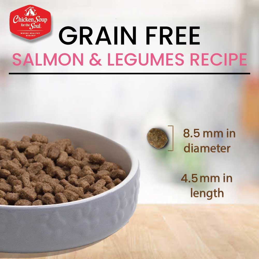 All Natural Grain-Free Dry Cat Food Salmon & Legumes 4lb Y8543