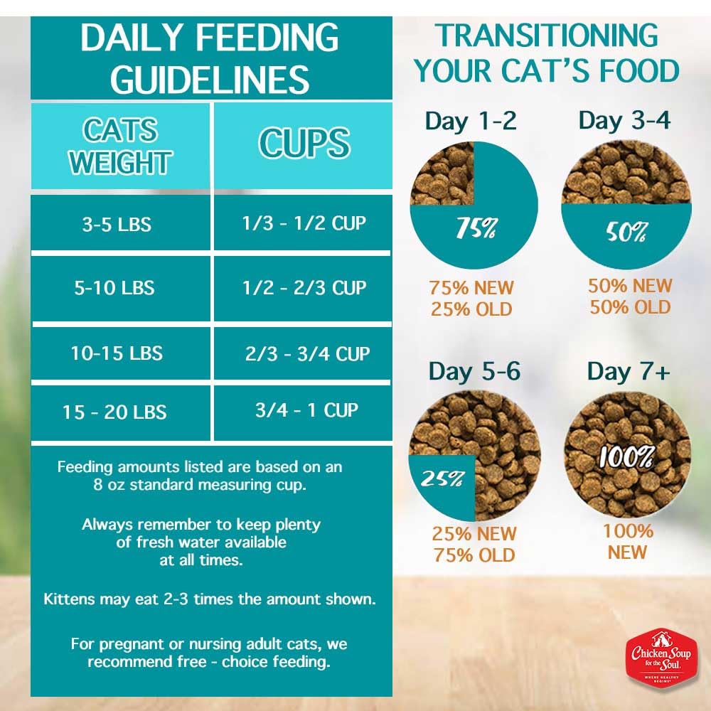 All Natural Grain-Free Dry Cat Food Salmon & Legumes 4lb Y8543