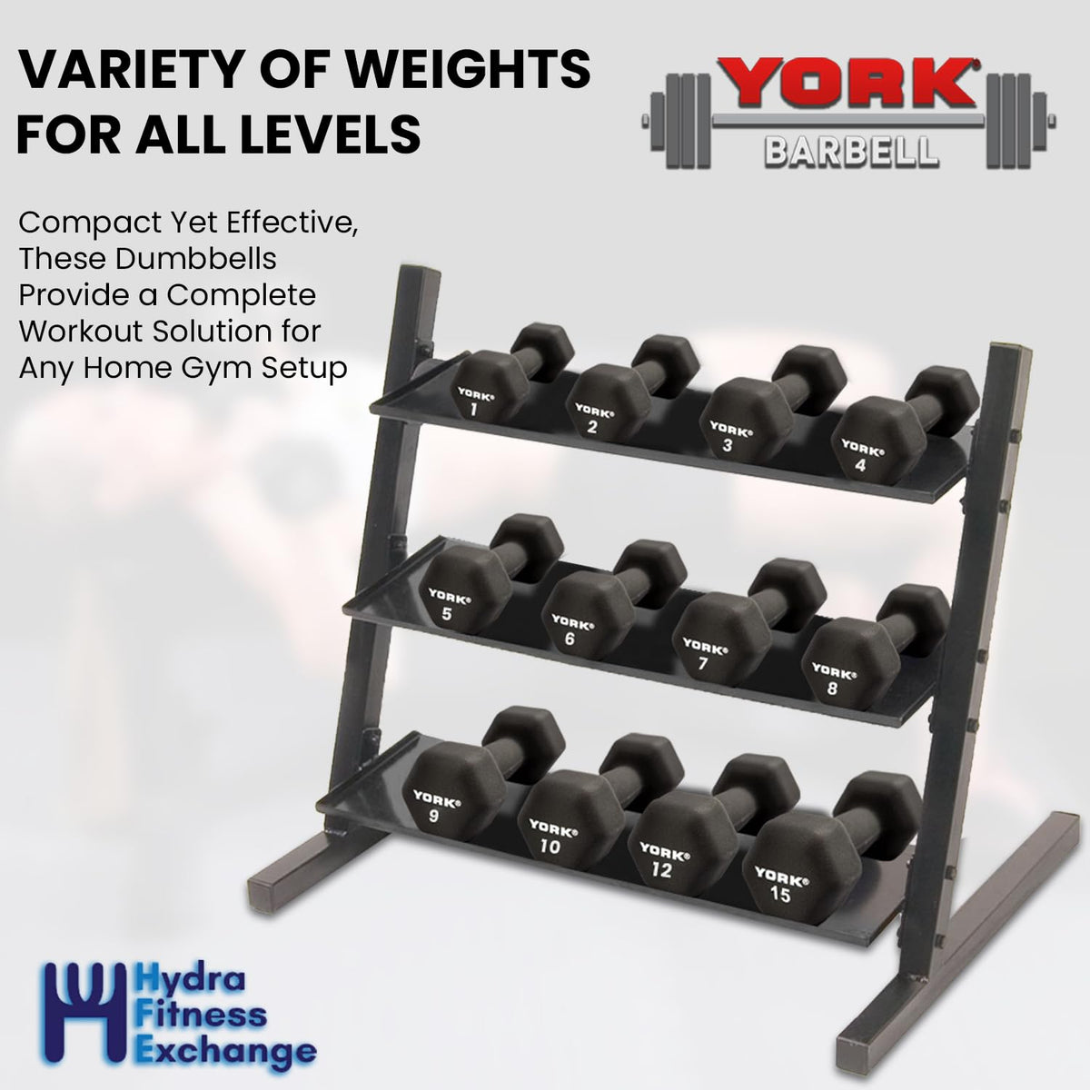 Neoprene Hexagon Dumbbells with Cast Ergo Handle, 10lb Pack of 4 Y626183