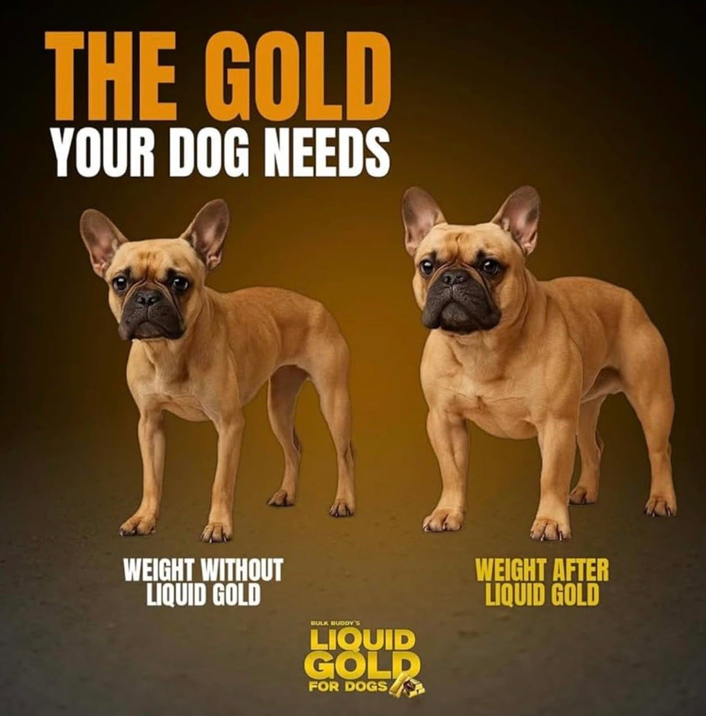 Weight Gainer for Dogs I293538