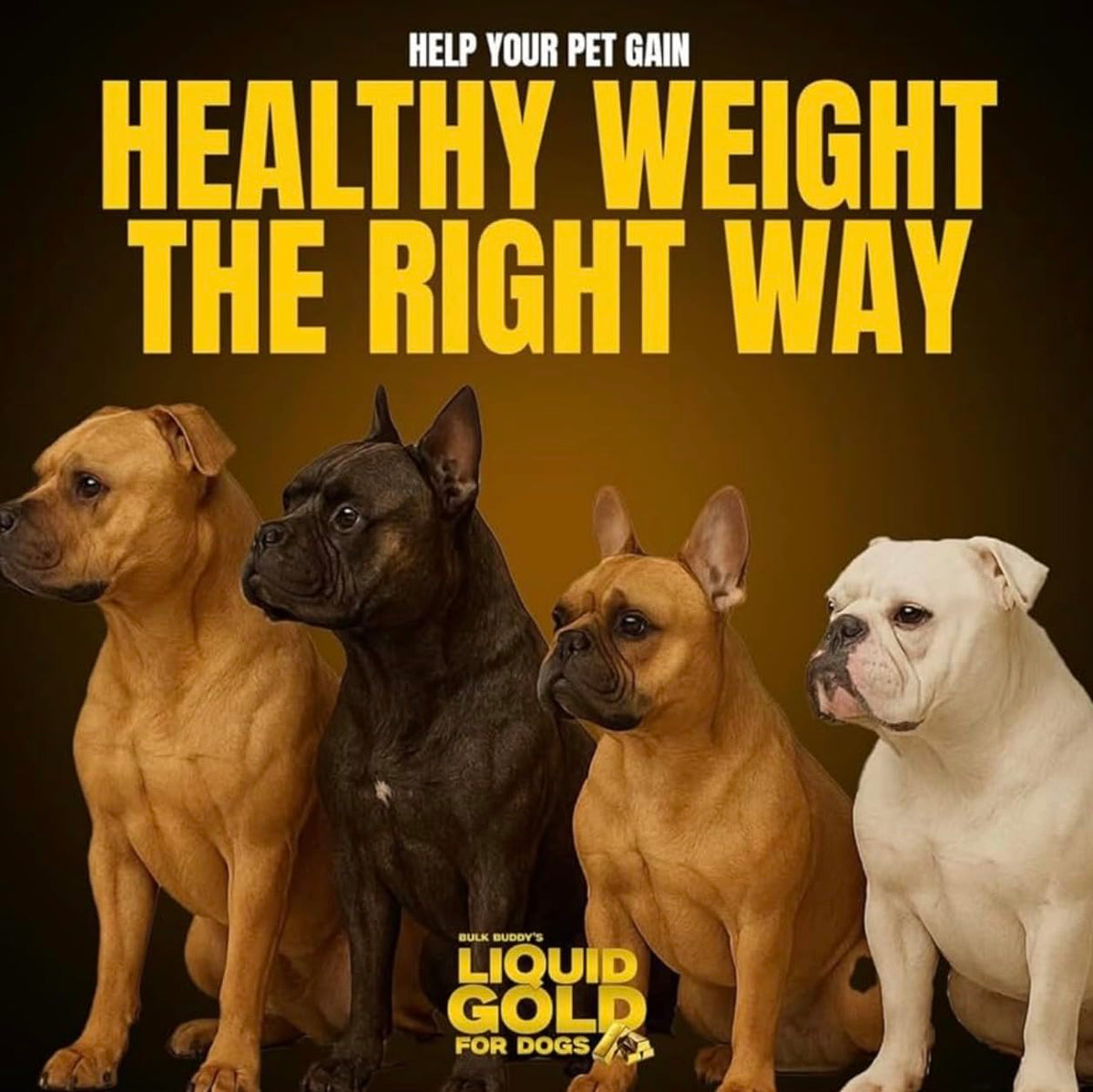 Weight Gainer for Dogs I293538