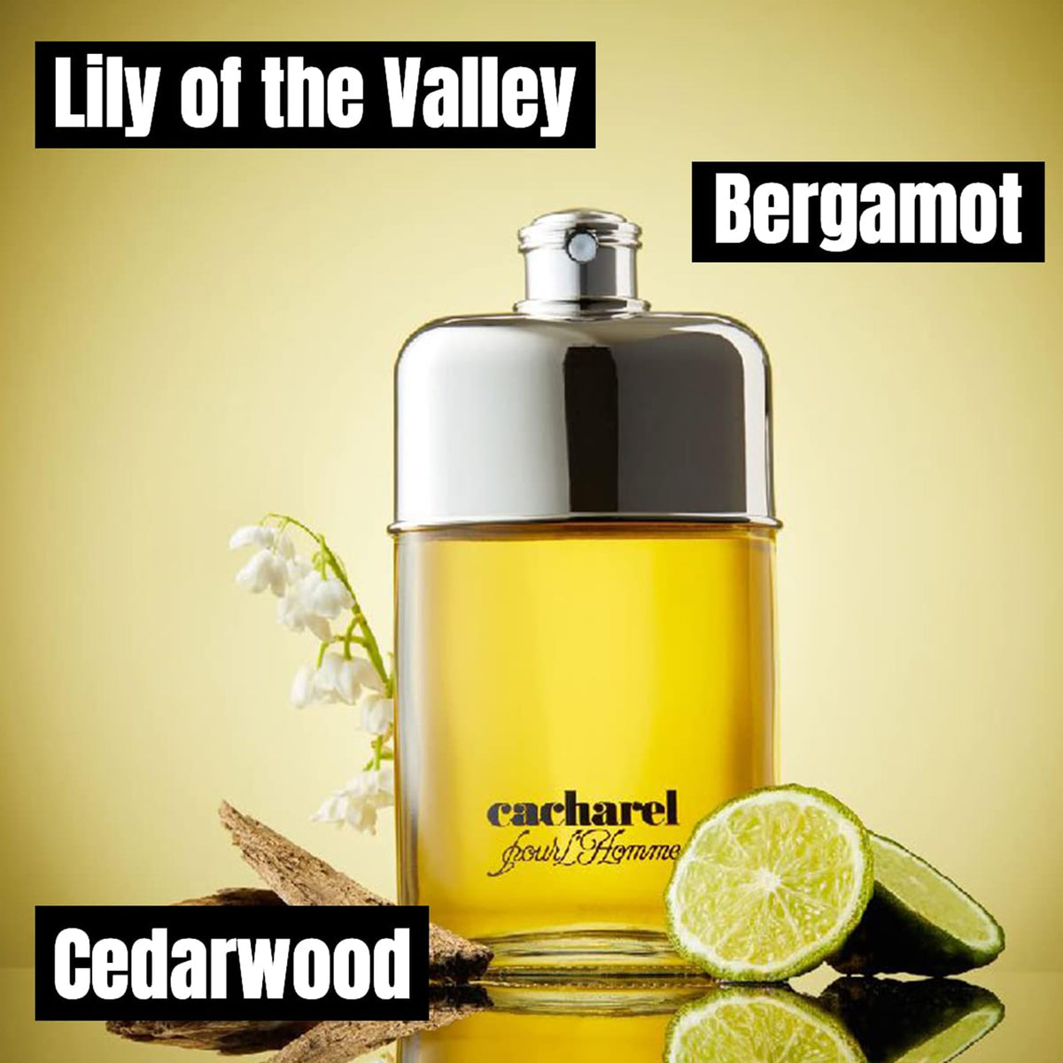 Eau de Toilette Cologne 3.4 Fl Oz I429