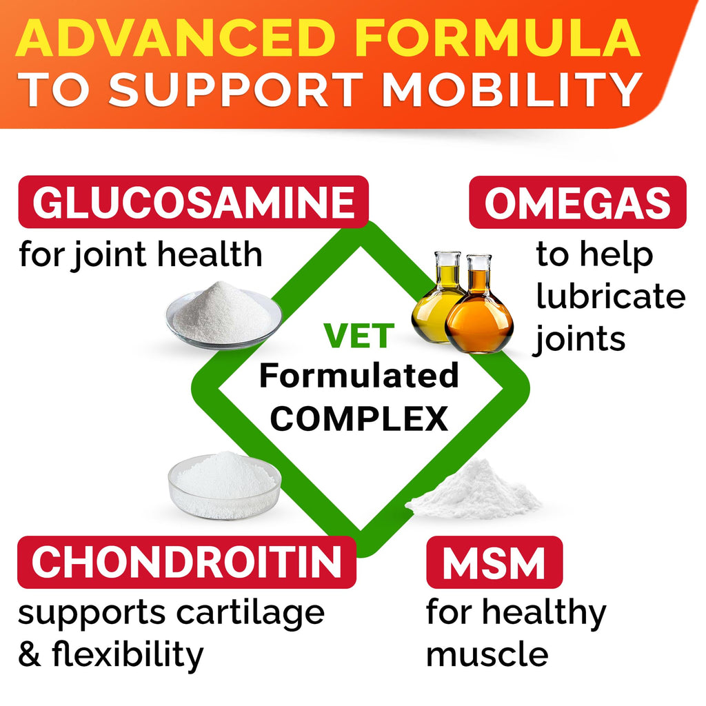 Glucosamine Chondroitin Joint Support J5997
