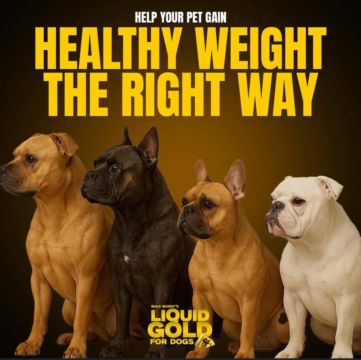 Weight Gainer for Dogs I293538