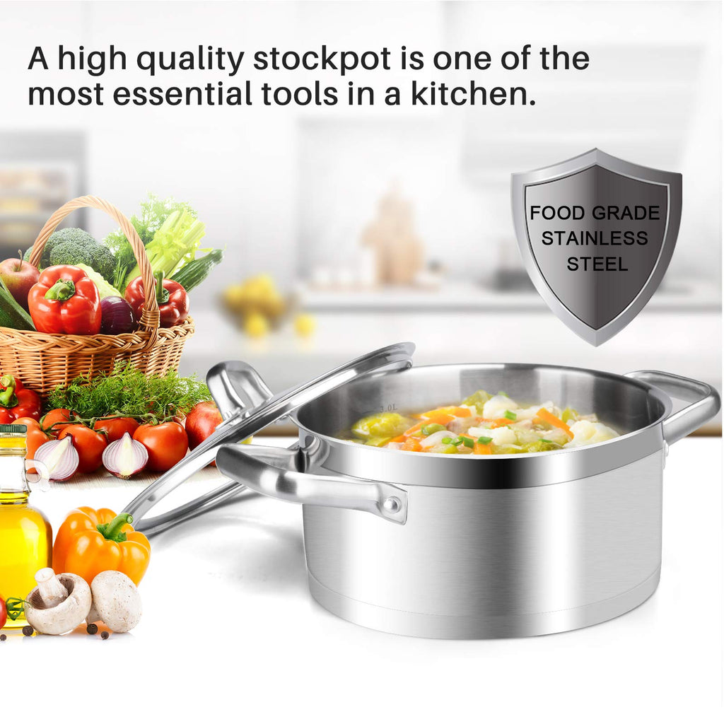 Stainless Steel 4.2 Qt Stock Pot with Lid Q1332
