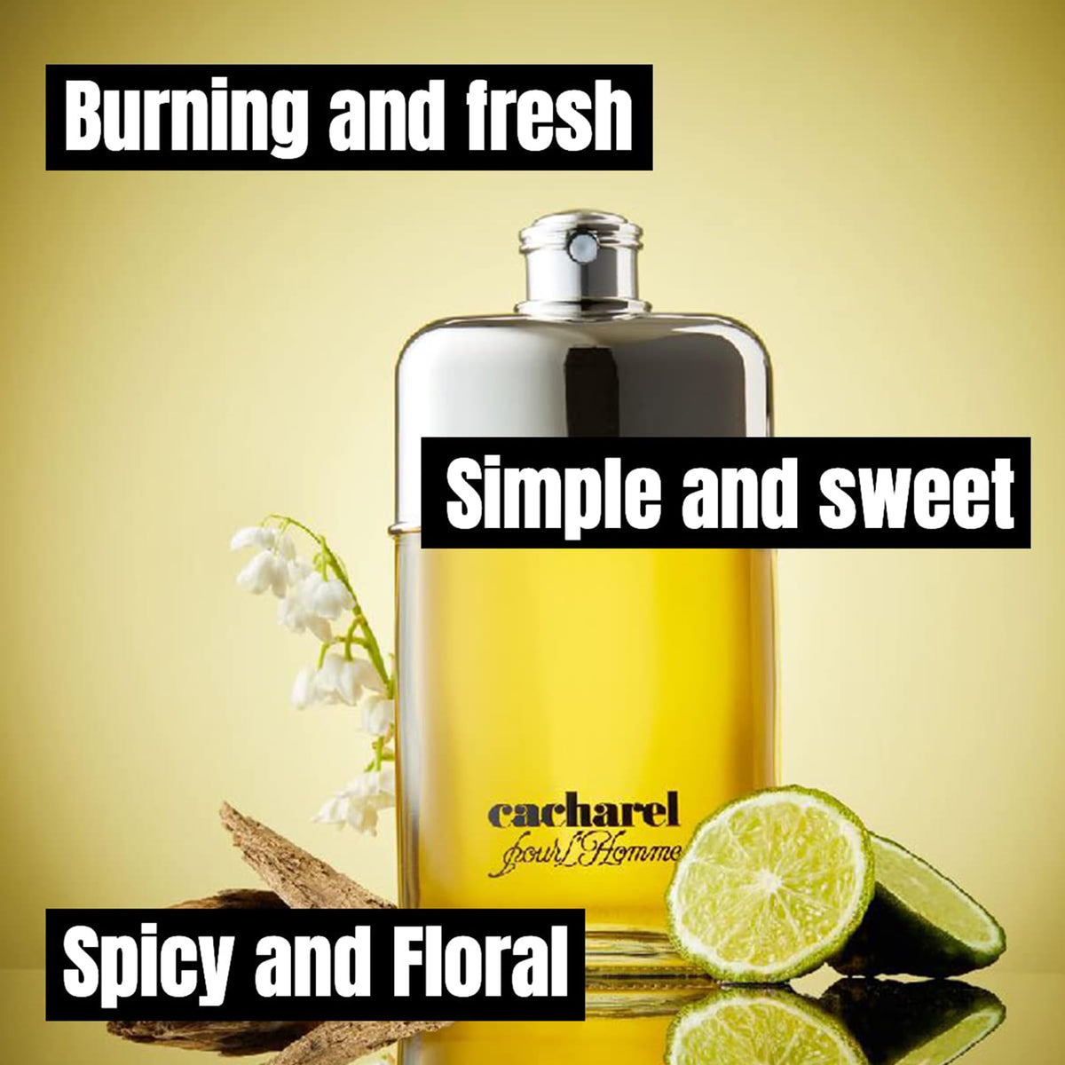 Eau de Toilette Cologne 3.4 Fl Oz I429