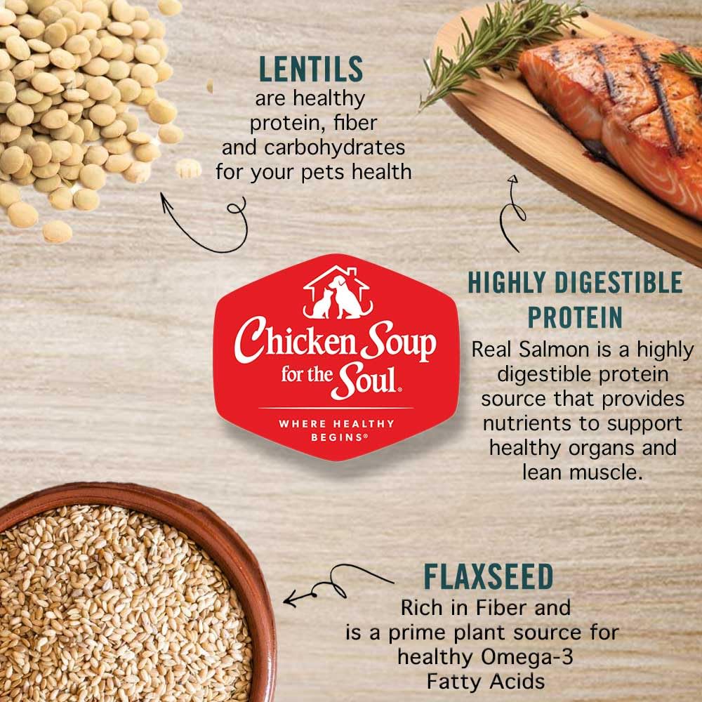 All Natural Grain-Free Dry Cat Food Salmon & Legumes 4lb Y8543