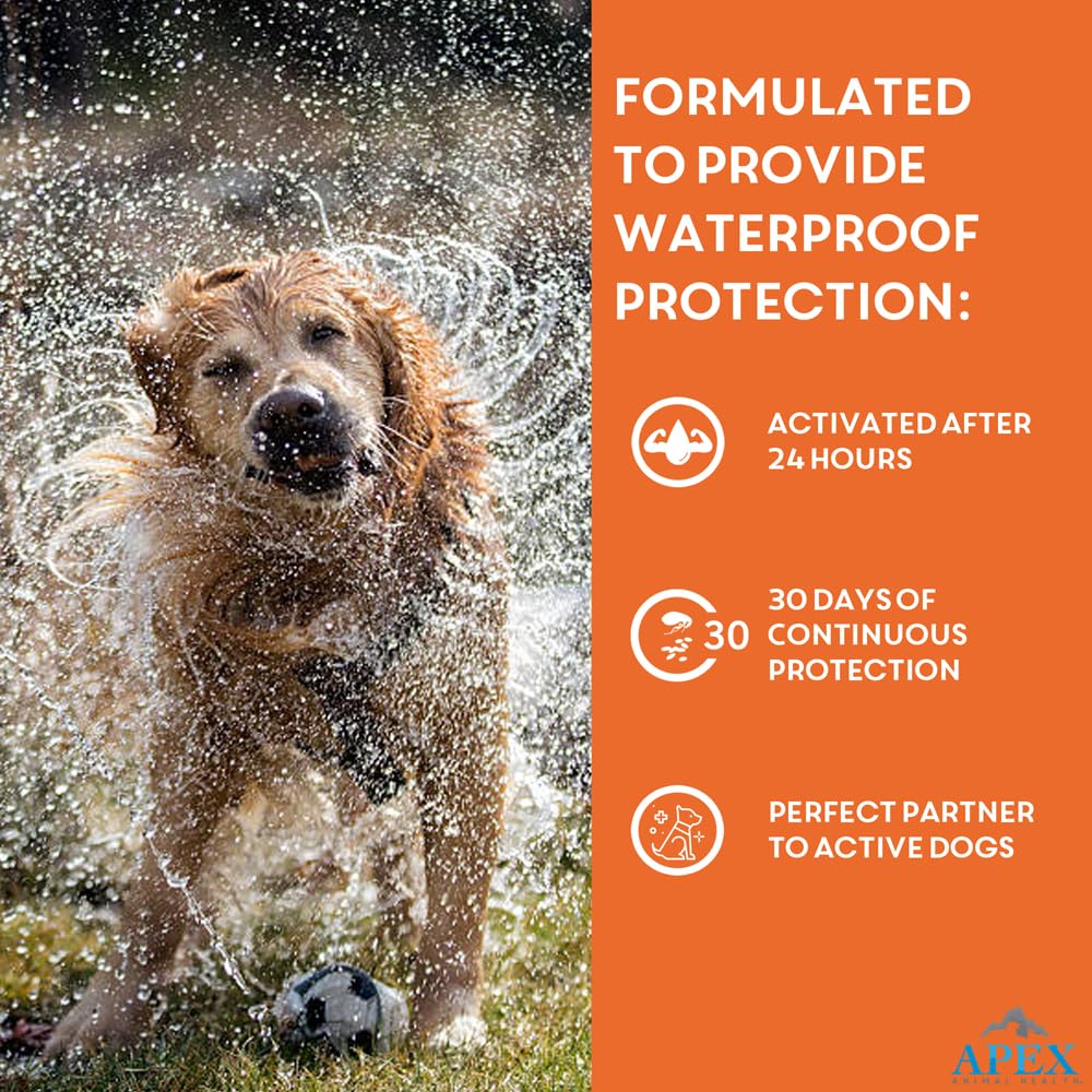 Flea & Tick Prevention for Small Dogs 3-Month Supply K758