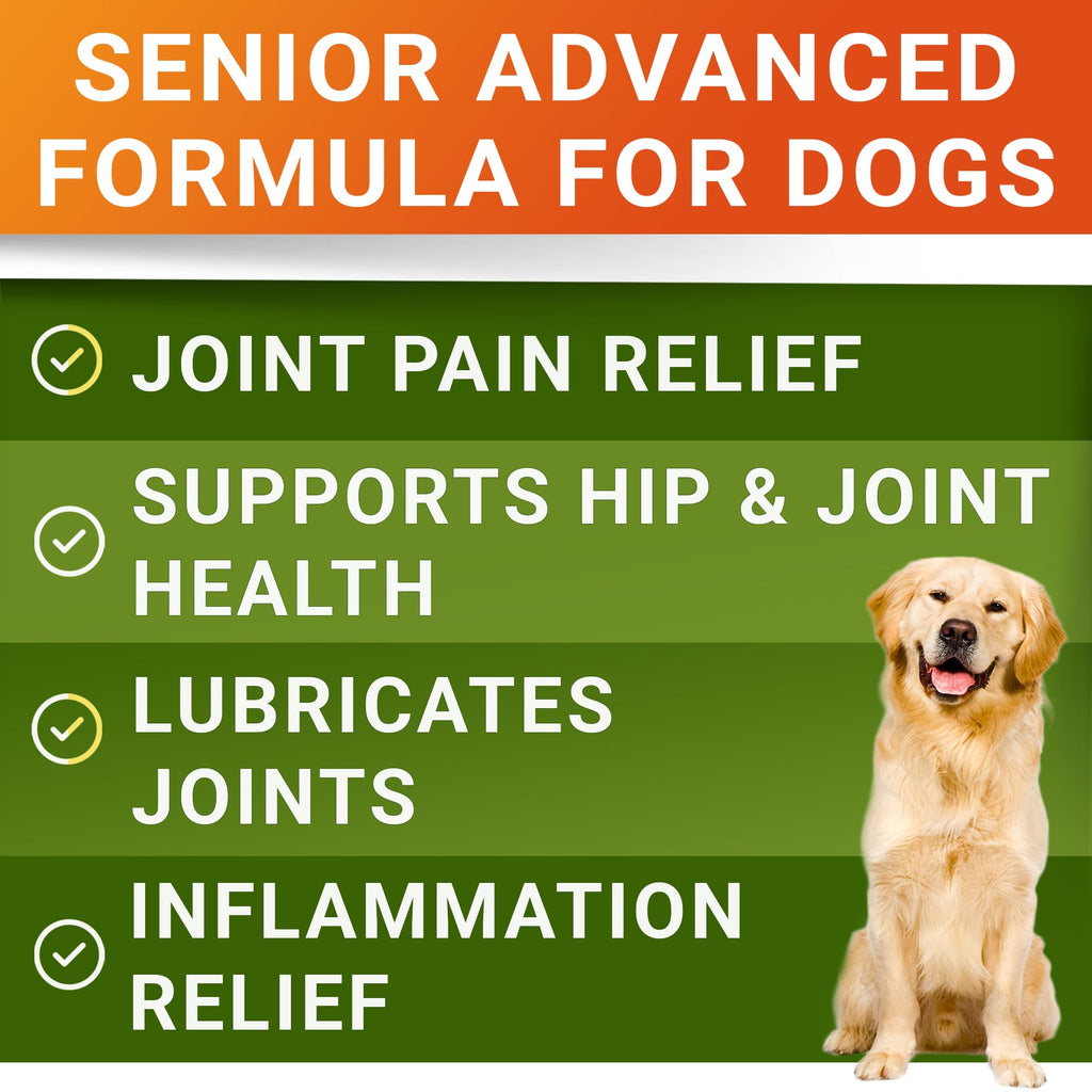 Glucosamine Chondroitin Joint Support J5997