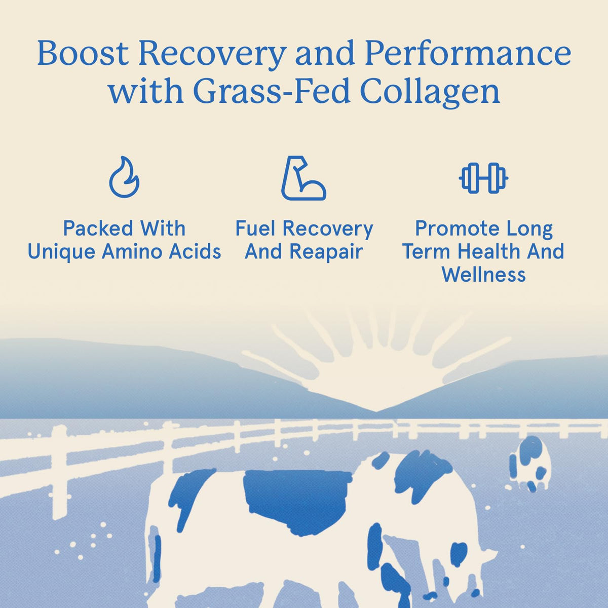 Grass Fed Hydrolyzed Bovine Collagen Peptides Powder W3247