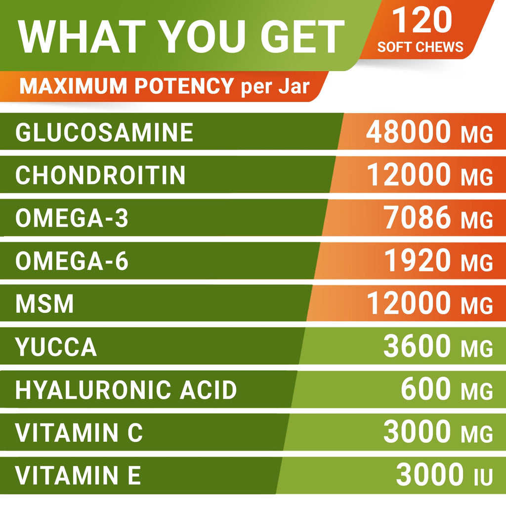 Glucosamine Chondroitin Joint Support J5997