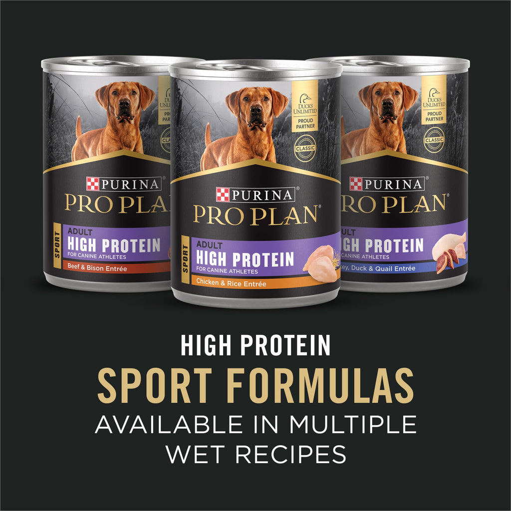 High Protein Dry Dog Food, Chicken, 37.5 lb Bag W220888
