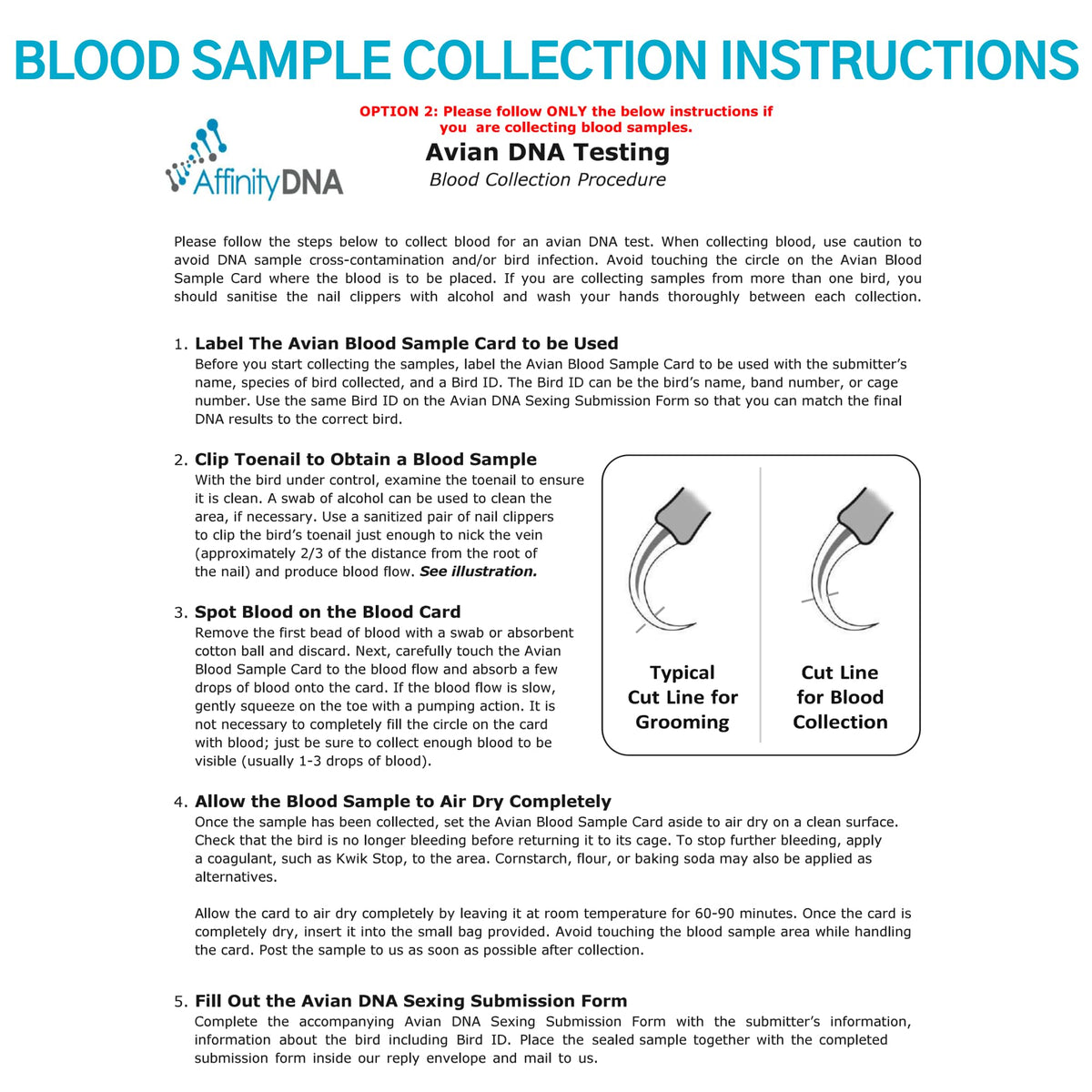 Bird Gender DNA Test Kit B8018
