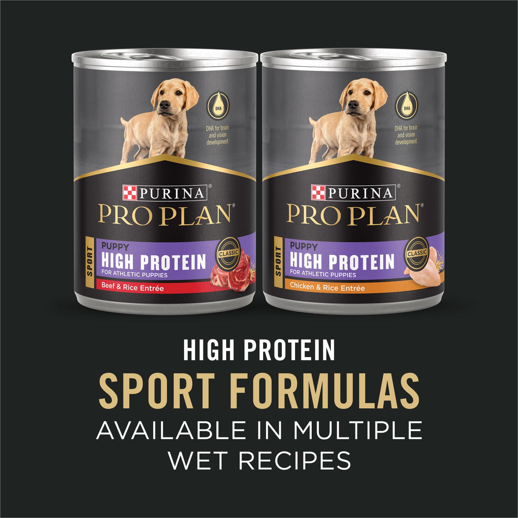 Chicken and Rice High Protein Dog Food 35 lb O89537