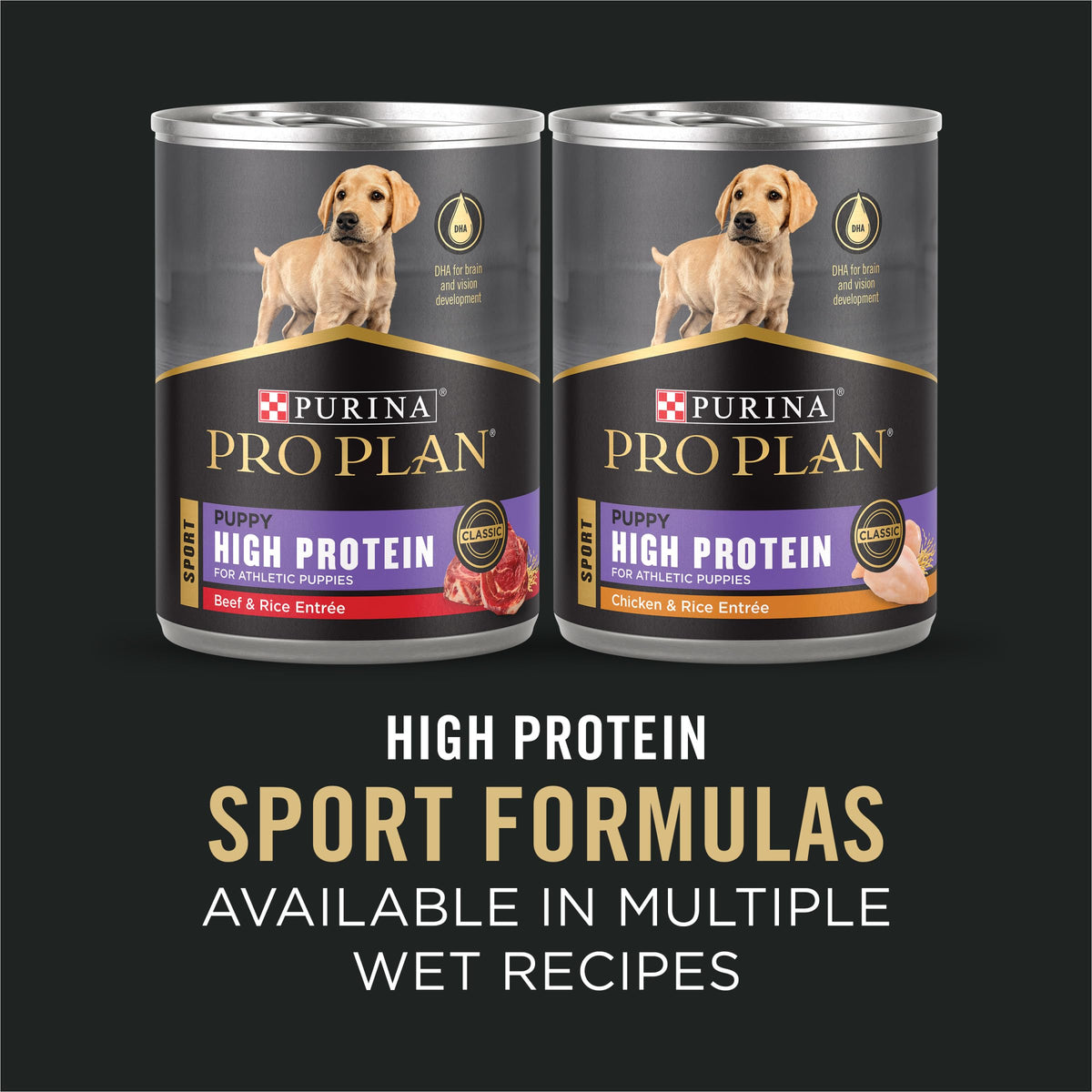 Chicken and Rice High Protein Dog Food 35 lb O89537