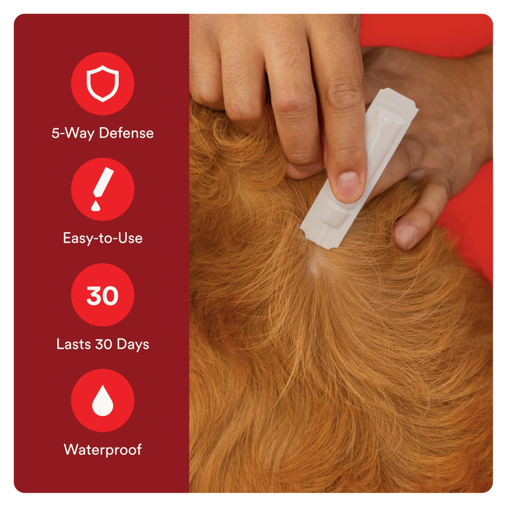 7 Way DeWormer and Flea and Tick Prevention for Small Dogs 6 Count X863328