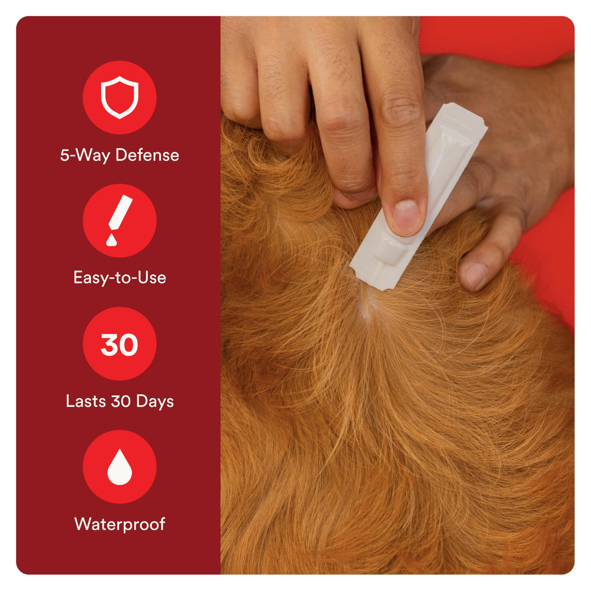 7 Way DeWormer and Flea and Tick Prevention for Small Dogs 6 Count X863328