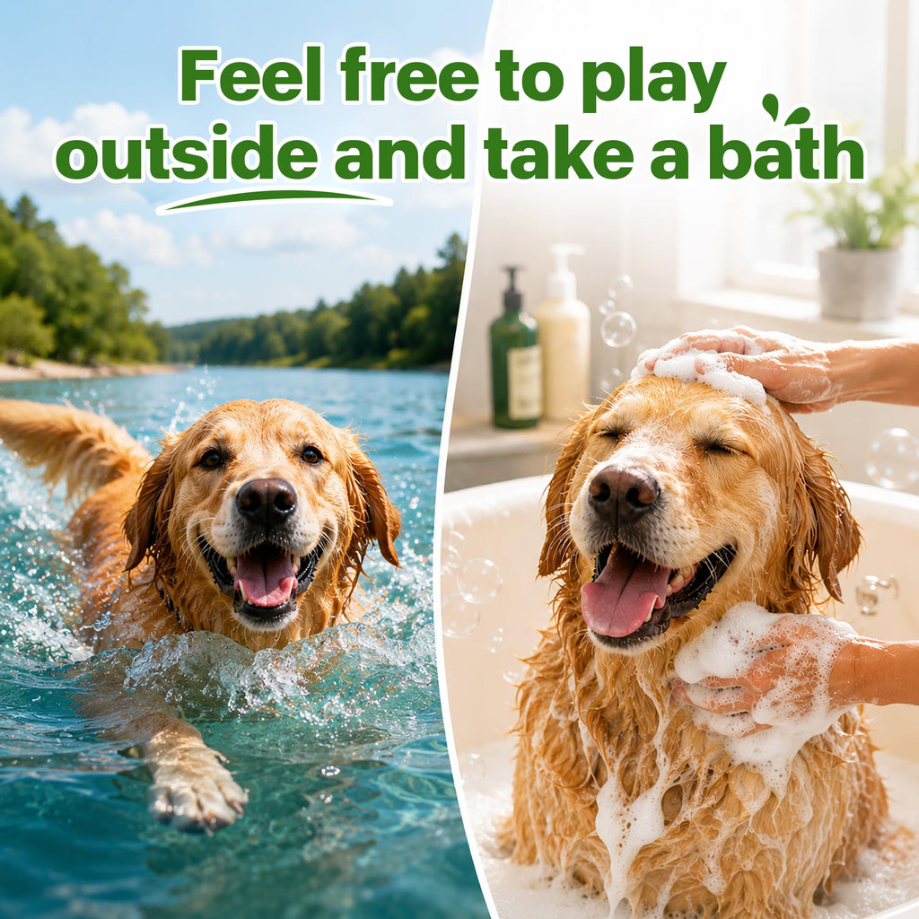 Flea and Tick Prevention for Dogs 5-43 lbs 6 Doses V7770