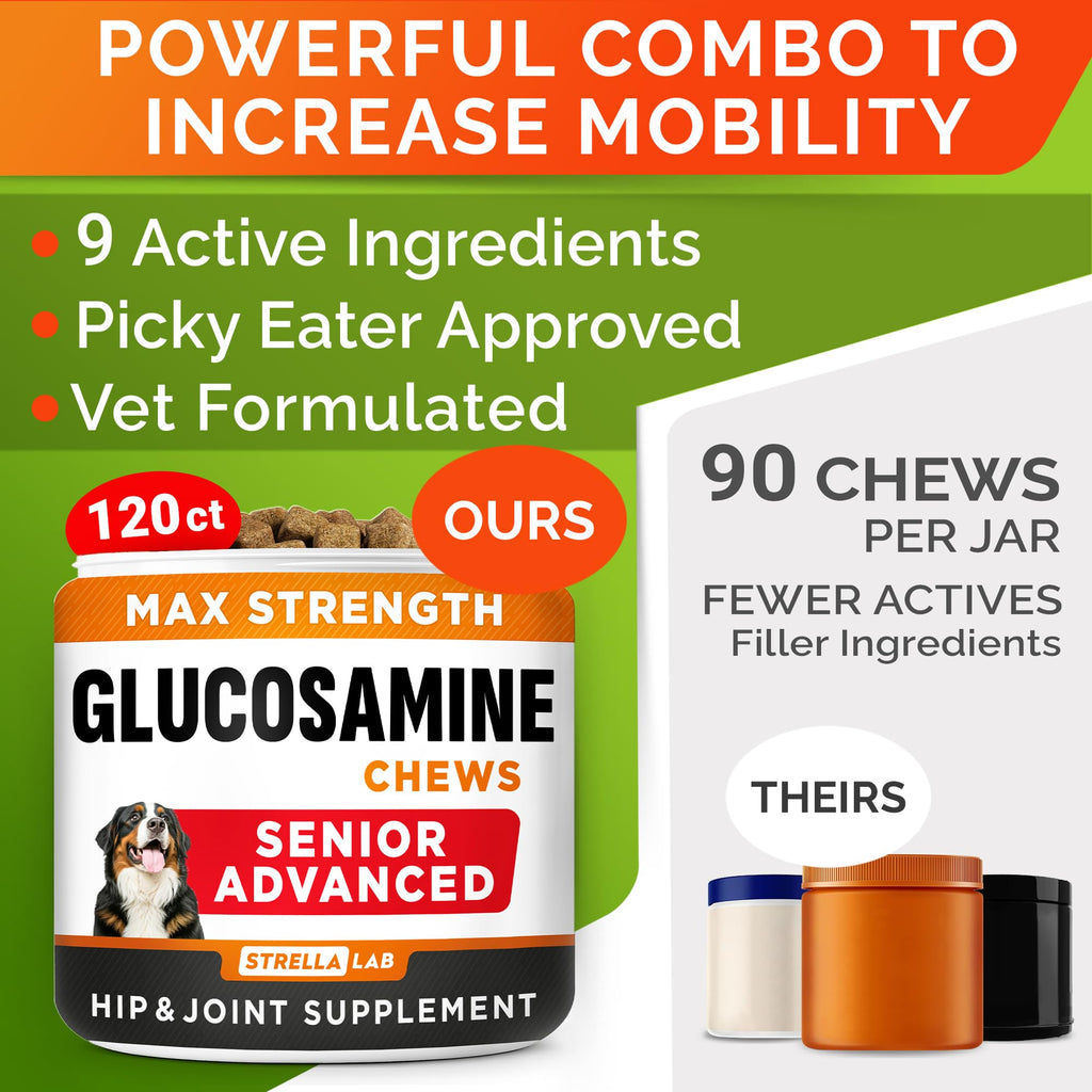 Glucosamine Chondroitin Joint Support J5997