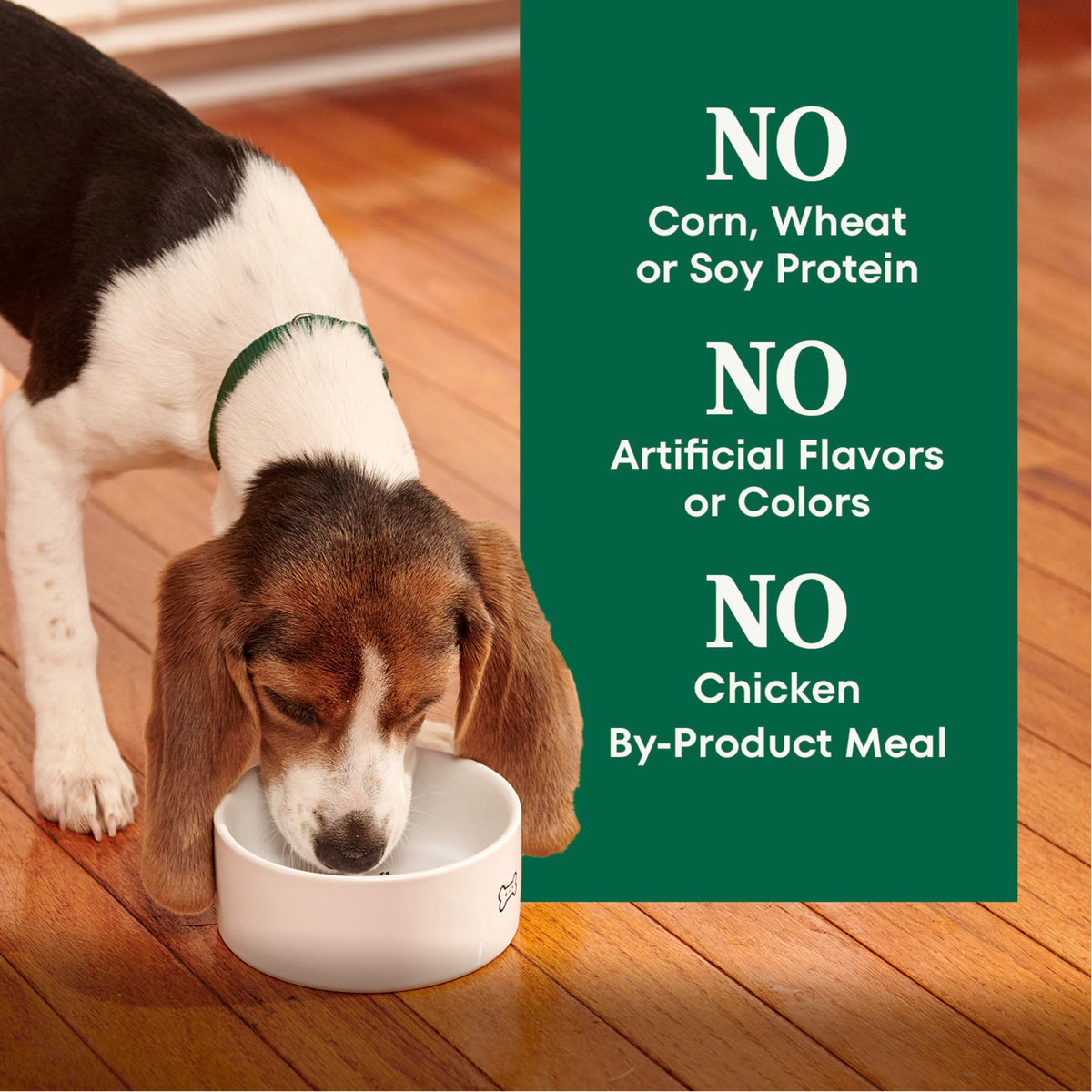 Large Breed Puppy Dry Dog Food Chicken 13 lb W72343