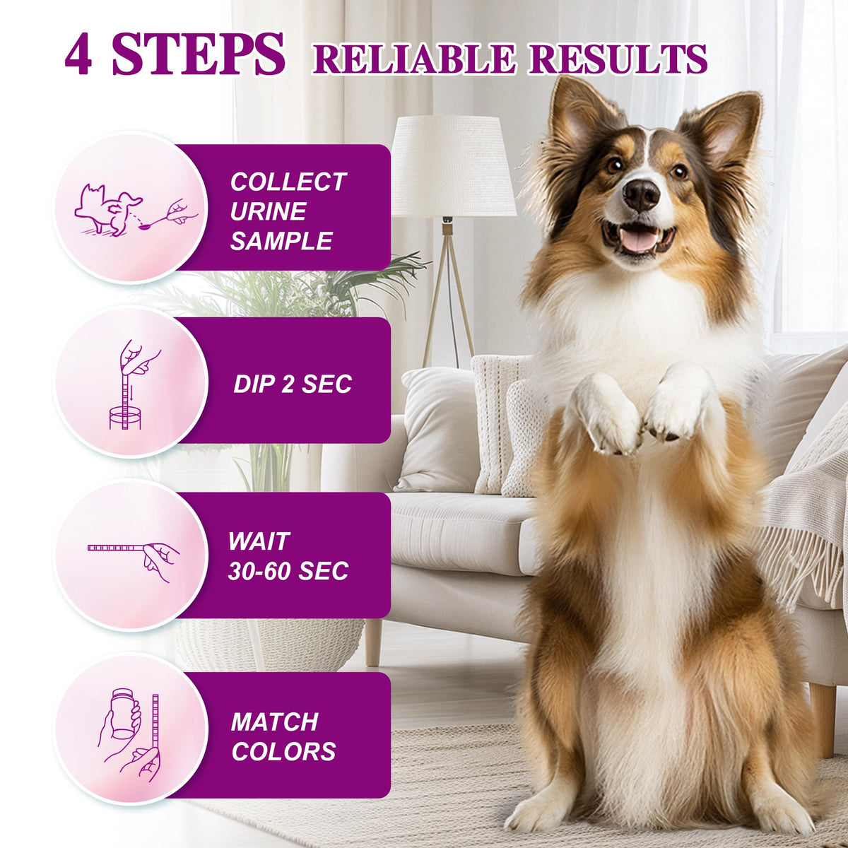 Dog & Cat Urine Test Strips, 4-in-1 Pet Urinalysis Testing Kit Z8358