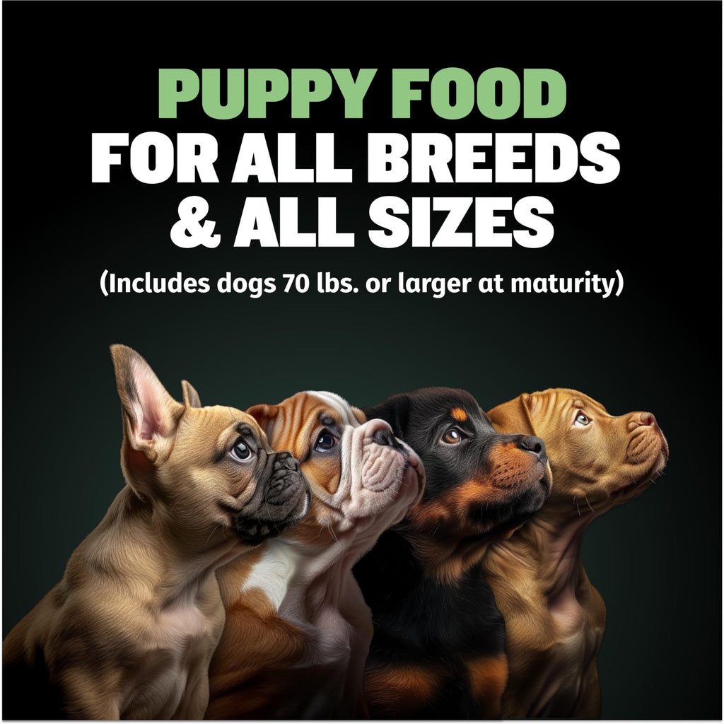 High-Protein Lamb Puppy Food, Vitamin Tabs & Power Tabs K243210