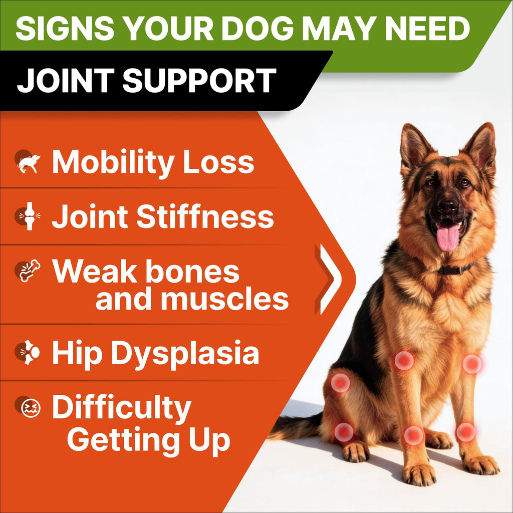 Glucosamine Chondroitin Joint Support J5997