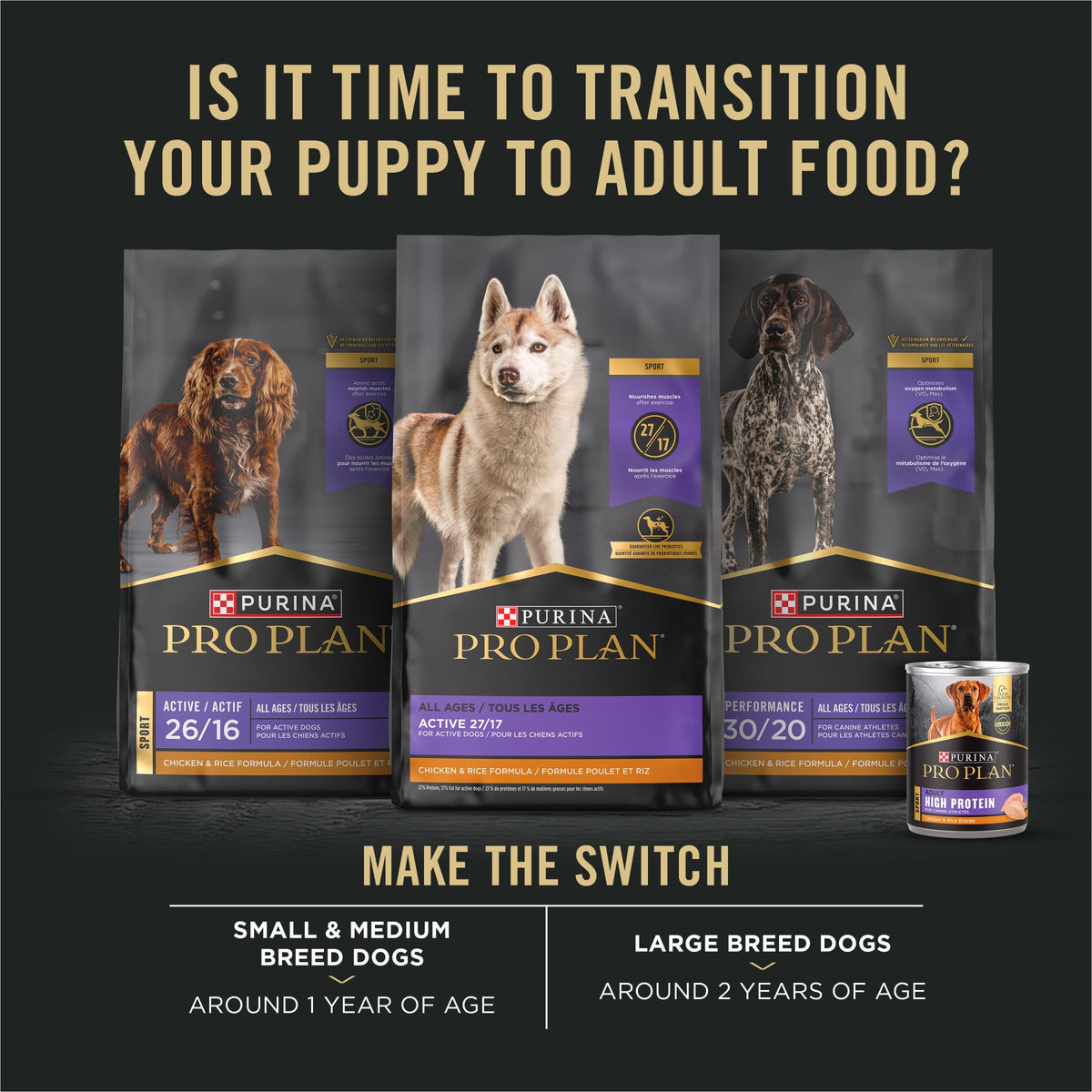 Chicken and Rice High Protein Dog Food 35 lb O89537