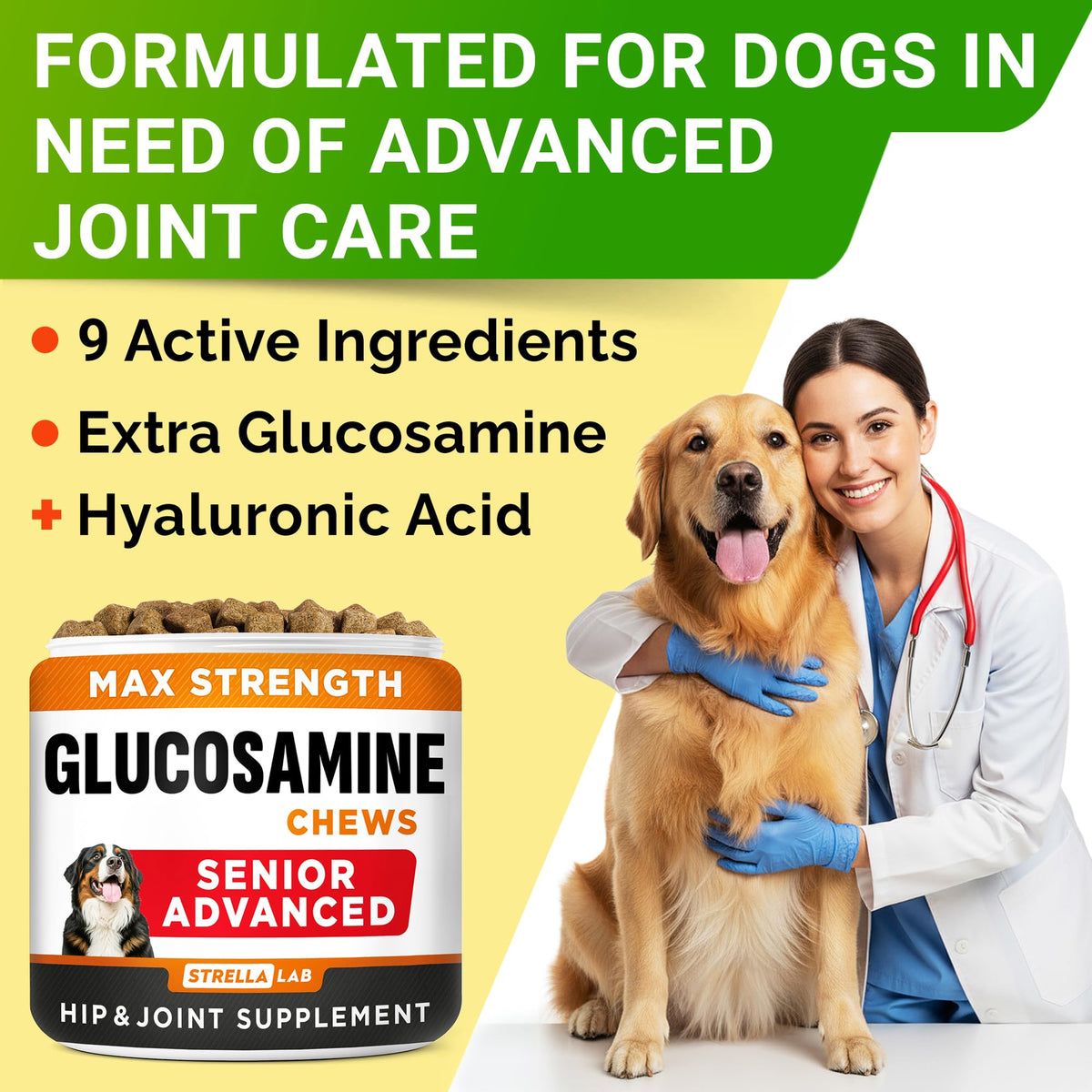 Glucosamine Chondroitin Joint Support J5997