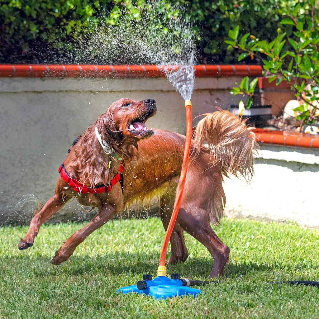 Interactive Water Toy for Dogs Q859