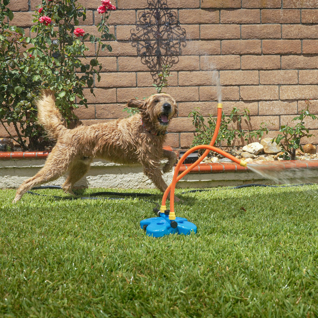 Interactive Water Toy for Dogs Q859